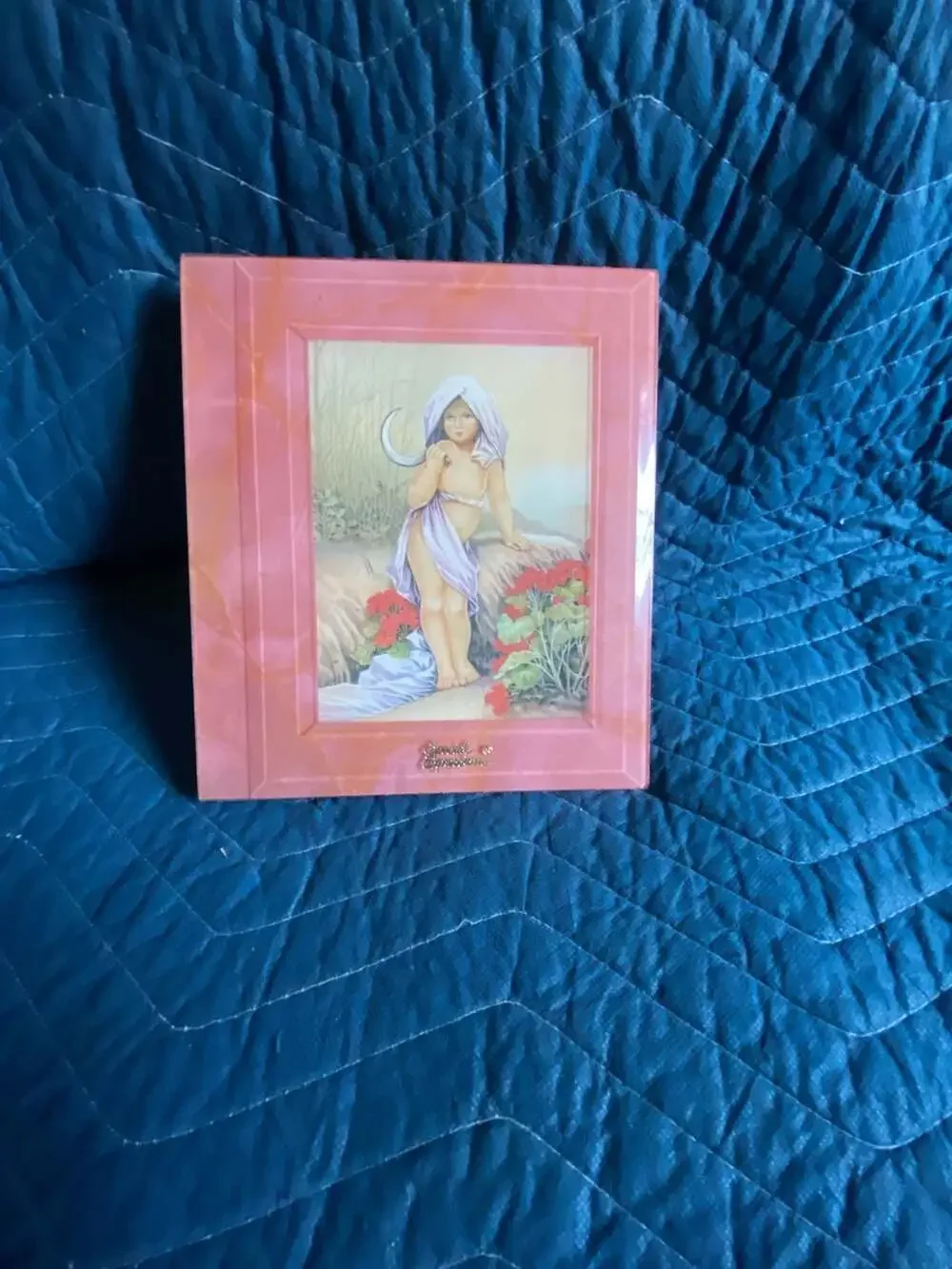 Special Expressions Vintage Pink Framed Photo Album